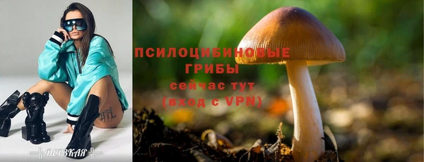 гашишное масло Белокуриха