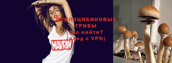 трава Беломорск