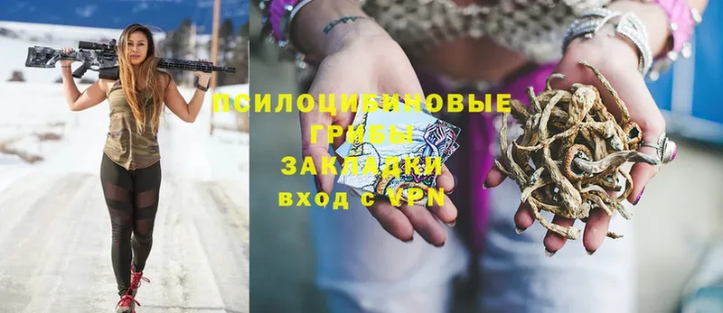 Галлюциногенные грибы Magic Shrooms  Городец 