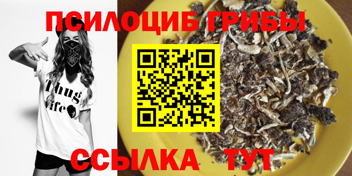 Псилоцибиновые грибы GOLDEN TEACHER Городец