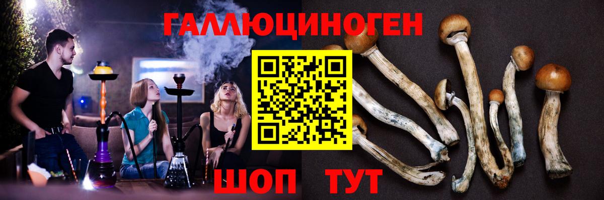Псилоцибиновые грибы MAGIC MUSHROOMS Городец