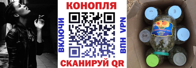 Конопля Amnesia  как найти   Городец 
