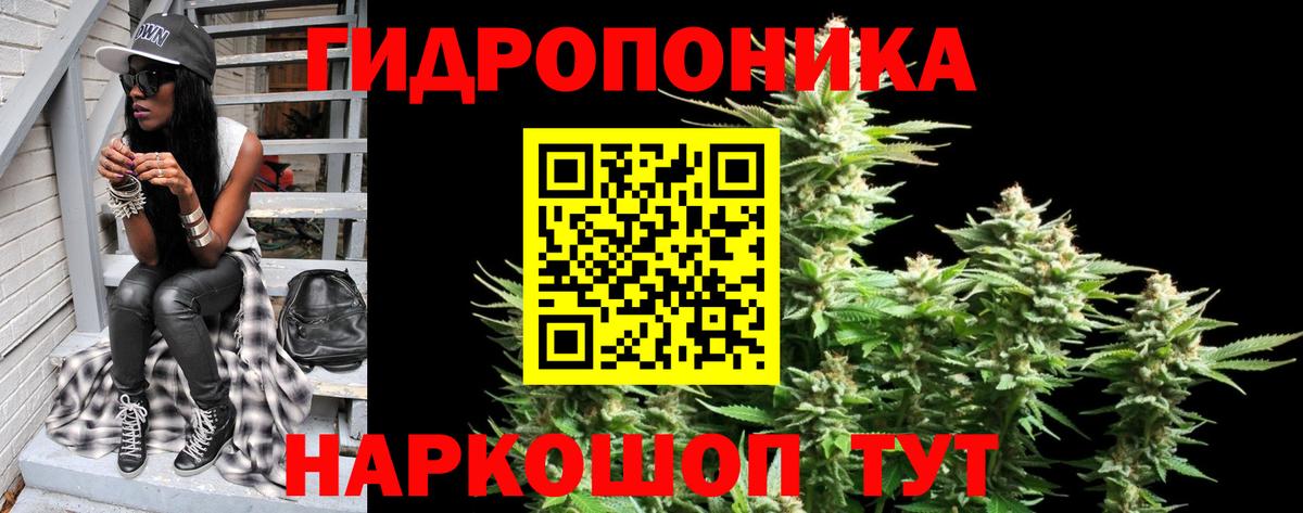 МАРИХУАНА SATIVA & INDICA  Городец  Конопля White Widow  Конопля конопля  Бошки марихуана SATIVA & INDICA 
